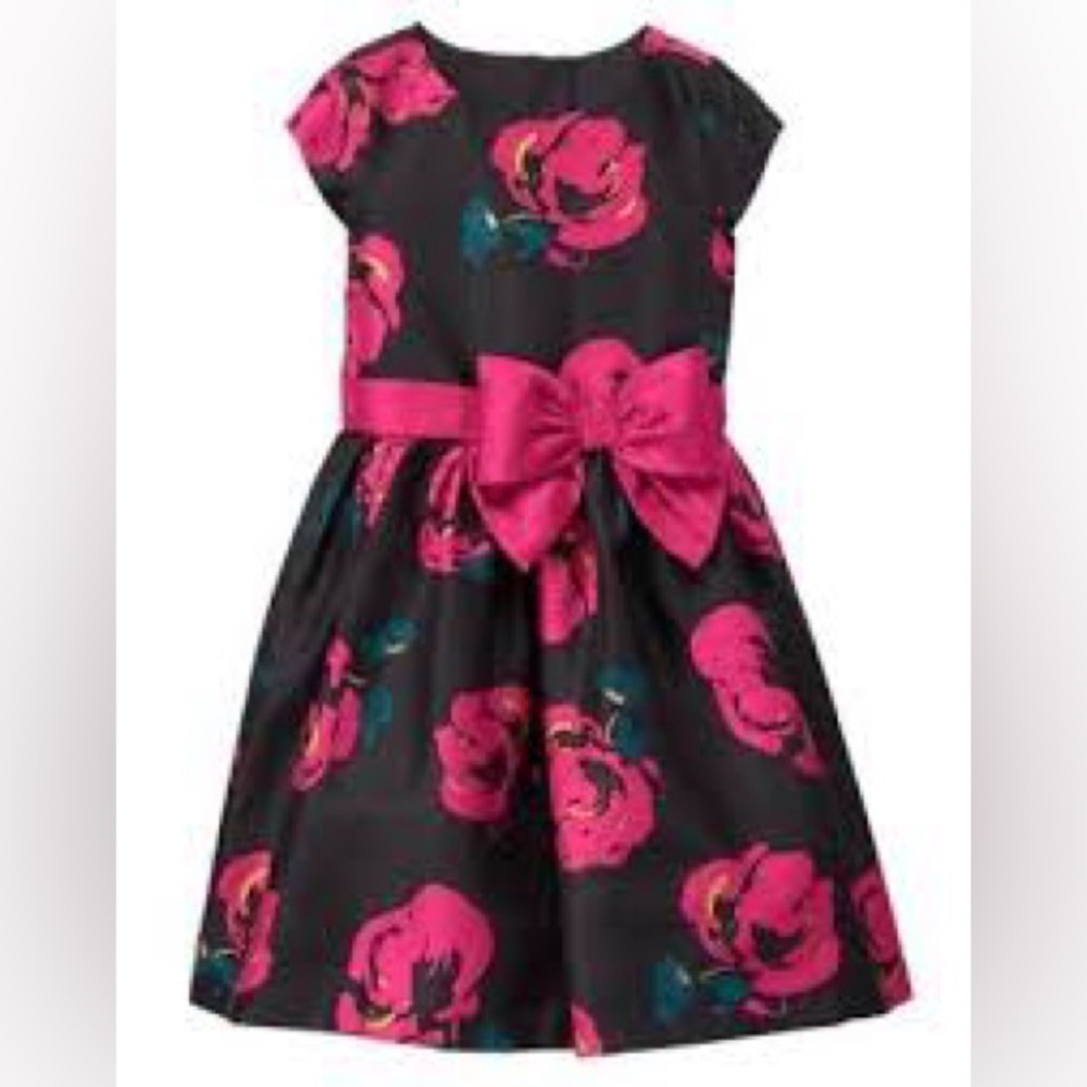 Gymboree Floral Dress with Pink Accents
